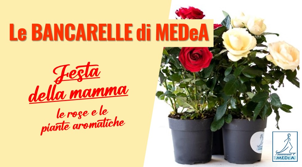 fb_festa_della_mamma_300424